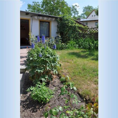 Ahlbeck_Seebadwohnung 03 Heringsdorf  Luaran gambar